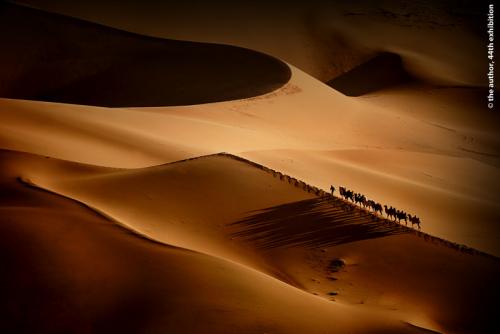 GPU Ribbon-Camel Bell in the Desert-Shihui Liu-China